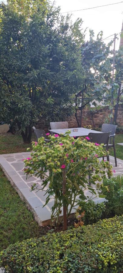 Garden Guest House Përmet Extérieur photo