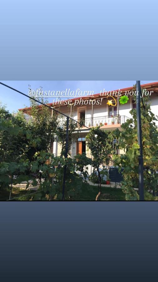 Garden Guest House Përmet Extérieur photo